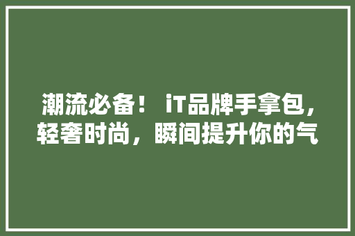 潮流必备！ iT品牌手拿包，轻奢时尚，瞬间提升你的气质！ 网站优化