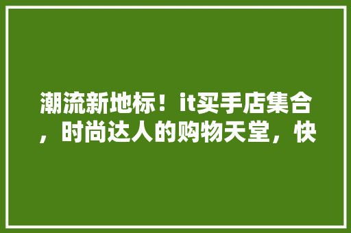 潮流新地标！it买手店集合，时尚达人的购物天堂，快来关注！ 网站开发