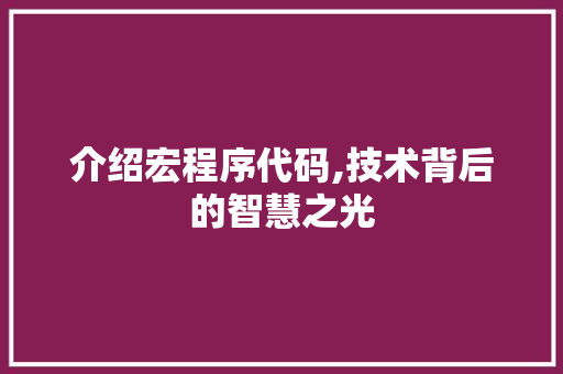 介绍宏程序代码,技术背后的智慧之光 介绍宏程序代码,技术背后的智慧之光 网站优化