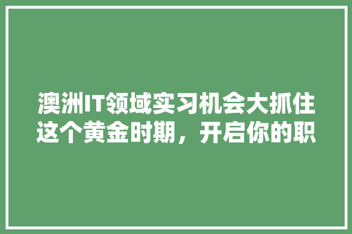 澳洲IT领域实习机会大抓住这个黄金时期，开启你的职场新征程！ 头条优化