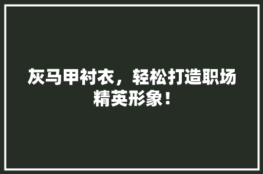 灰马甲衬衣，轻松打造职场精英形象！