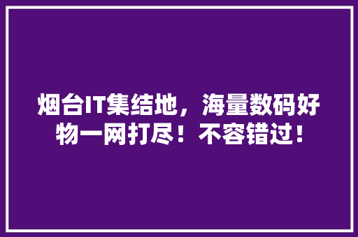 烟台IT集结地，海量数码好物一网打尽！不容错过！