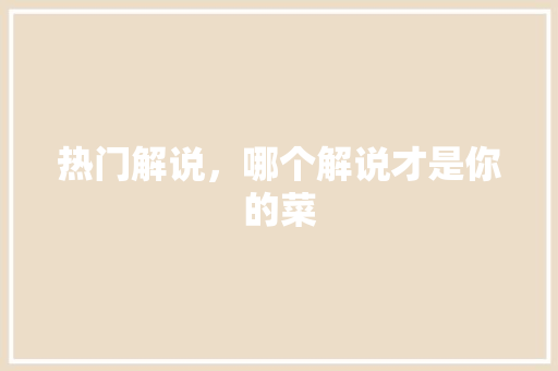 热门解说，哪个解说才是你的菜 网站优化