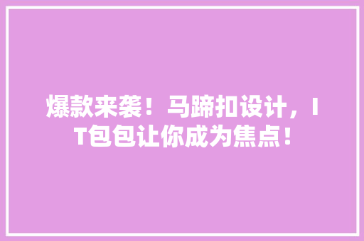 爆款来袭！马蹄扣设计，IT包包让你成为焦点！ seo技术