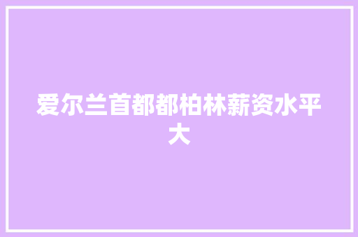爱尔兰首都都柏林薪资水平大 网站开发