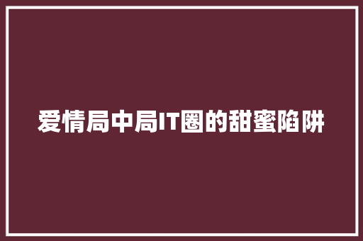 爱情局中局IT圈的甜蜜陷阱