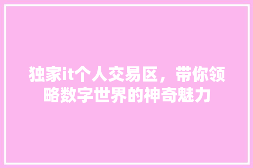 独家it个人交易区，带你领略数字世界的神奇魅力
