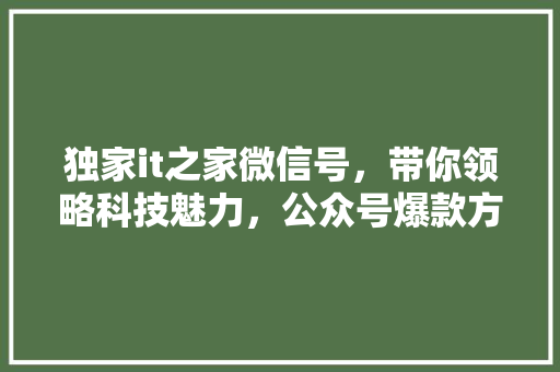 独家it之家微信号，带你领略科技魅力，公众号爆款方法！