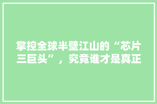 掌控全球半壁江山的“芯片三巨头”，究竟谁才是真正的王者