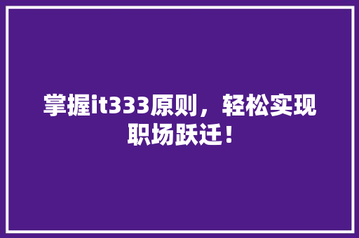 掌握it333原则，轻松实现职场跃迁！