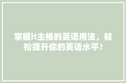 掌握it主格的英语用法，轻松提升你的英语水平！ seo技术