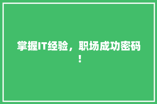掌握IT经验，职场成功密码！