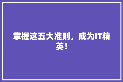 掌握这五大准则，成为IT精英！