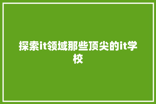 探索it领域那些顶尖的it学校 seo技术