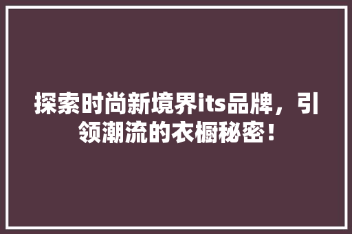探索时尚新境界its品牌，引领潮流的衣橱秘密！ 网站开发