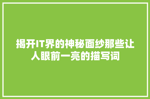揭开IT界的神秘面纱那些让人眼前一亮的描写词