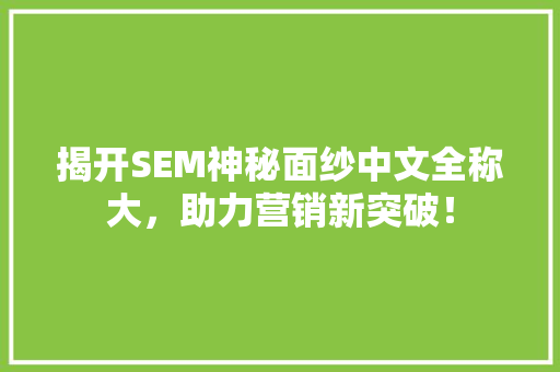 揭开SEM神秘面纱中文全称大，助力营销新突破！ 网站优化
