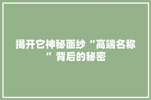 揭开它神秘面纱“高端名称”背后的秘密 英文谷歌算法