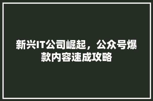 新兴IT公司崛起，公众号爆款内容速成攻略
