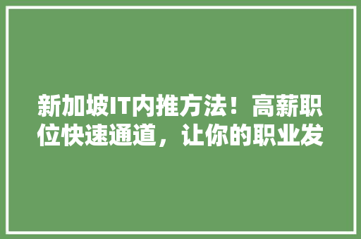 新加坡IT内推方法！高薪职位快速通道，让你的职业发展更上一层楼！