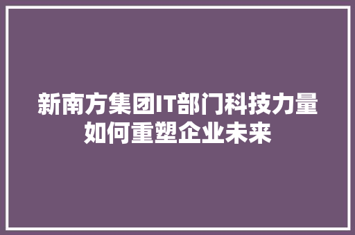 新南方集团IT部门科技力量如何重塑企业未来 英文谷歌算法
