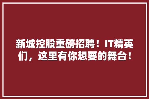 新城控股重磅招聘！IT精英们，这里有你想要的舞台！