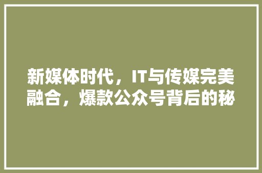 新媒体时代，IT与传媒完美融合，爆款公众号背后的秘密！