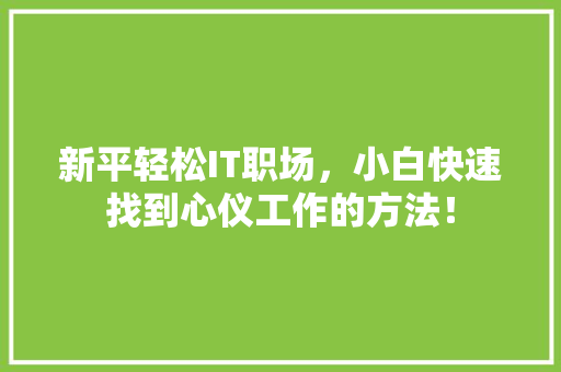 新平轻松IT职场，小白快速找到心仪工作的方法！ 360搜优化