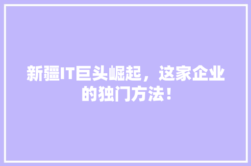 新疆IT巨头崛起，这家企业的独门方法！