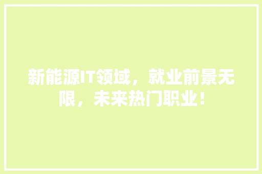 新能源IT领域，就业前景无限，未来热门职业！