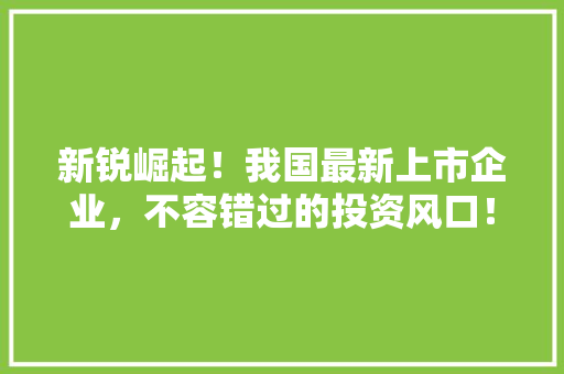 新锐崛起！我国最新上市企业，不容错过的投资风口！ 小程序开发
