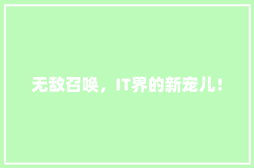 无敌召唤，IT界的新宠儿！