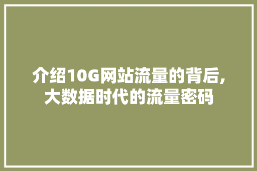 介绍10G网站流量的背后,大数据时代的流量密码 介绍10G网站流量的背后,大数据时代的流量密码 搜狗优化