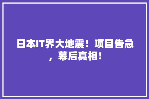 日本IT界大地震！项目告急，幕后真相！