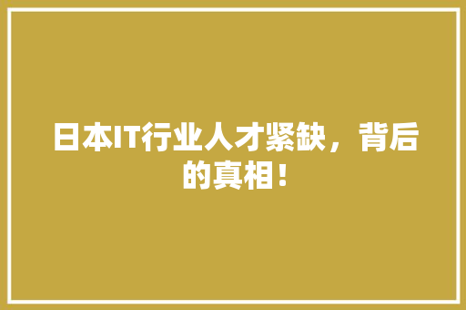 日本IT行业人才紧缺，背后的真相！