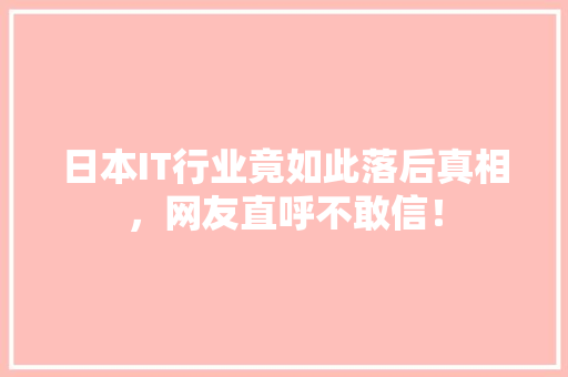 日本IT行业竟如此落后真相，网友直呼不敢信！