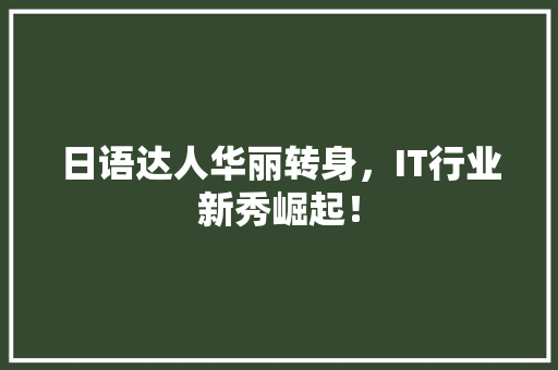 日语达人华丽转身，IT行业新秀崛起！ 360搜优化