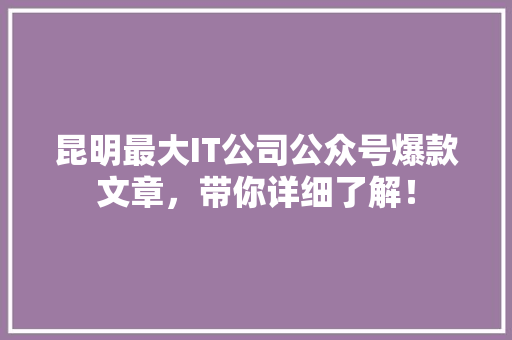 昆明最大IT公司公众号爆款文章，带你详细了解！