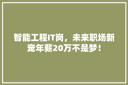 智能工程IT岗，未来职场新宠年薪20万不是梦！
