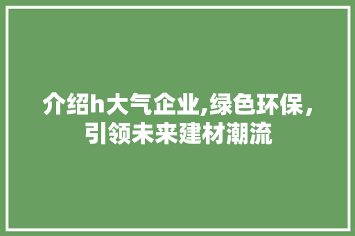 介绍h大气企业,绿色环保，引领未来建材潮流