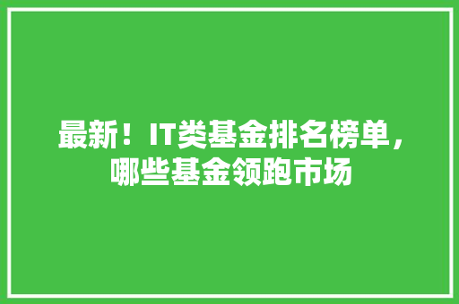 最新！IT类基金排名榜单，哪些基金领跑市场