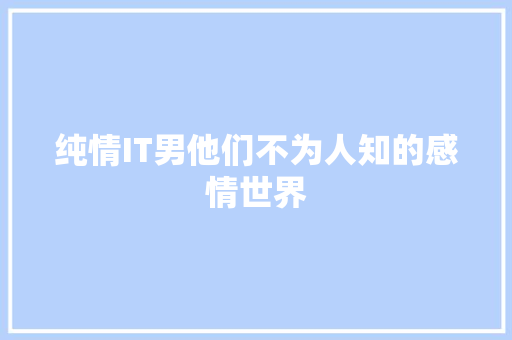 纯情IT男他们不为人知的感情世界 网站优化