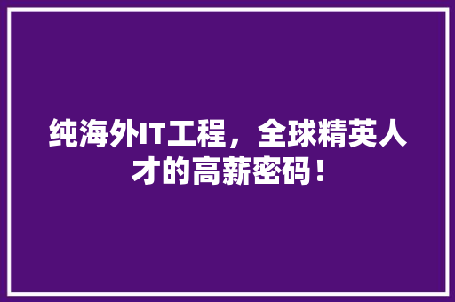 纯海外IT工程，全球精英人才的高薪密码！ 网站开发