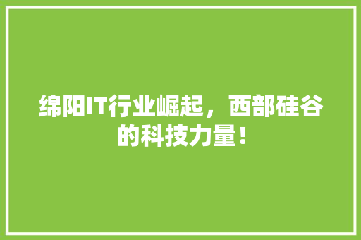 绵阳IT行业崛起，西部硅谷的科技力量！