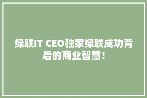 绿联IT CEO独家绿联成功背后的商业智慧！ seo技术
