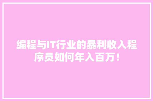 编程与IT行业的暴利收入程序员如何年入百万！ 网站优化