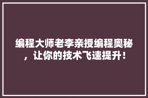 编程大师老李亲授编程奥秘，让你的技术飞速提升！