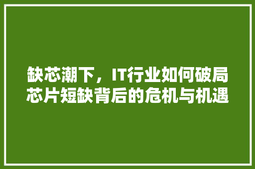 缺芯潮下，IT行业如何破局芯片短缺背后的危机与机遇