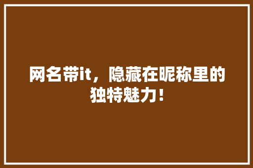 网名带it，隐藏在昵称里的独特魅力！ 搜狗优化