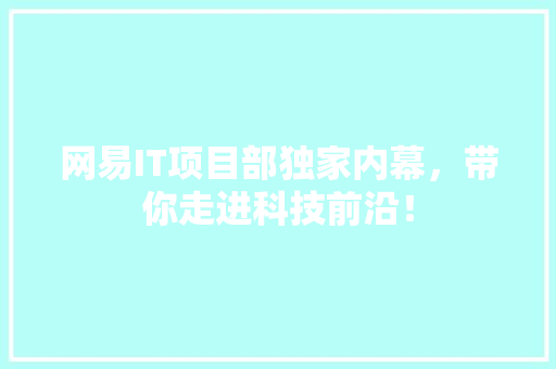 网易IT项目部独家内幕，带你走进科技前沿！ 网站开发